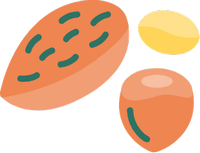 Illustration de la catégorie Fruits secs