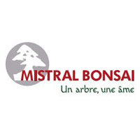 Mistral Bonsai Mistral Bonsai