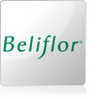 Beliflor Beliflor