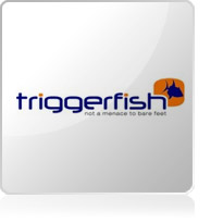Triggerfish Triggerfish