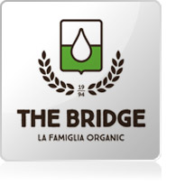 The Bridge The Bridge