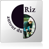 Autour du Riz Autour du Riz