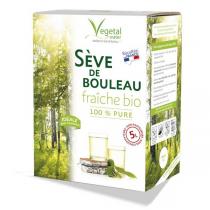Vegetal Water - Sève de bouleau 2022 fraîche bio non pasteurisée 5L