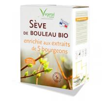 Vegetal Water - Sève de bouleau Bio enrichie aux extraits de 5 bourgeons 5L