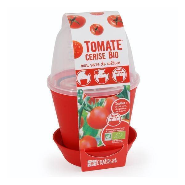 Radis et Capucine - Pot cloche avec graines de tomates cerises Bio