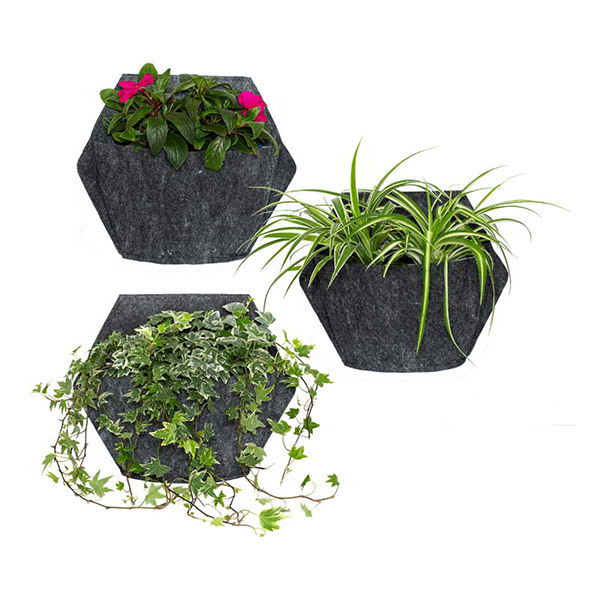Citysens - 3 pots muraux avec housse textile et pothos