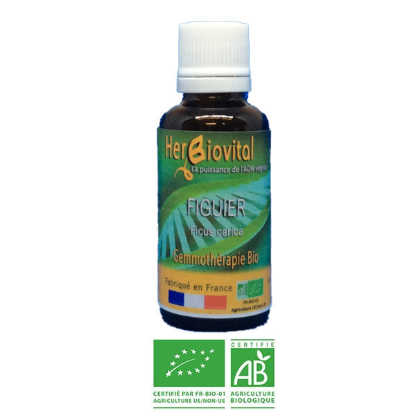 Herbiovital - Figuier Bio - Le Macérât apaisant Herbiovital - Figuier Bio - Le Macérât apaisant