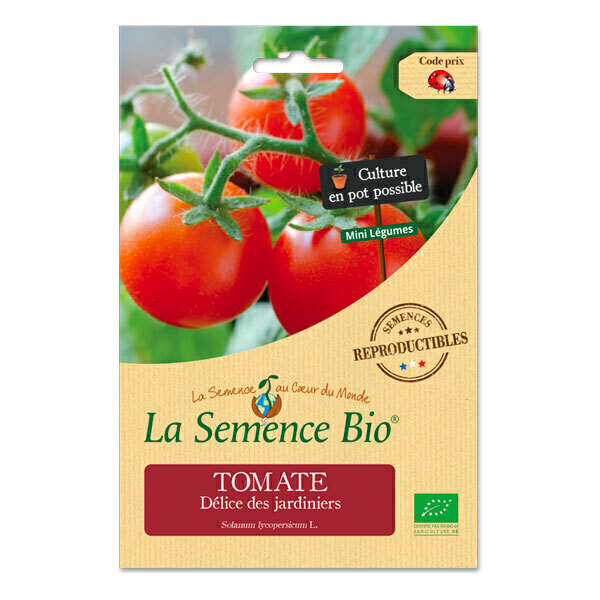 noire Tomate I a un goût SUPERBE Graines semences Semences-la i
