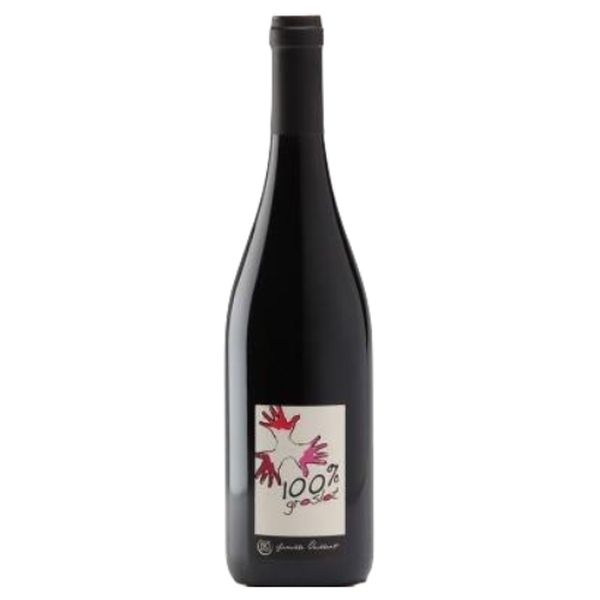 Jean Francois Vaillant - Anjou-Domaine les grandes vignes-100% Groslot - rouge