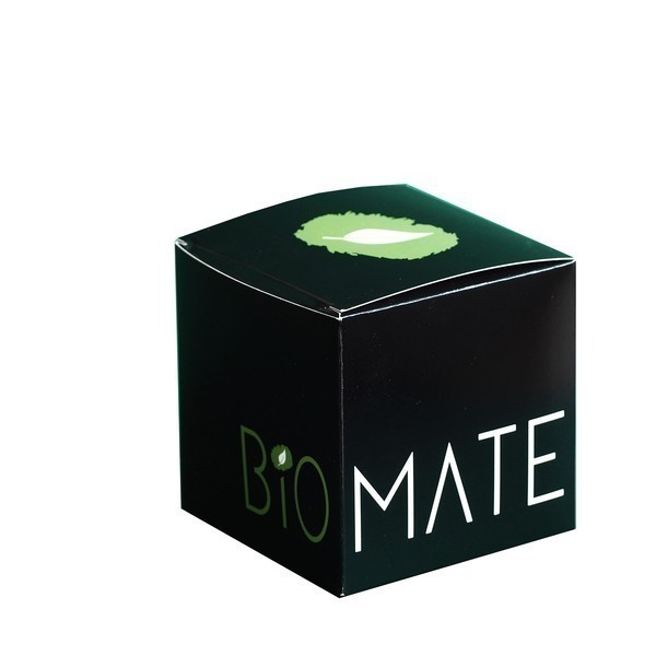 Biomate - Maté vert bio - 10 infusettes