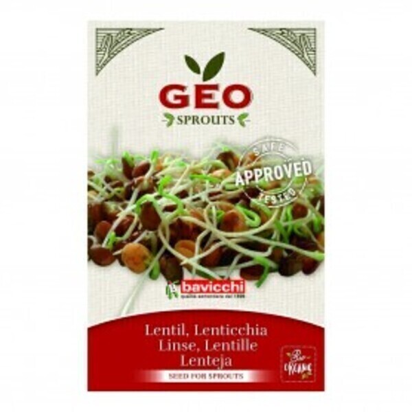 BIO Graines de germination de lentilles semences certifiées biologiques 990 graines 