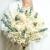 Bouquet de fleurs sechees ivoire