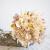 Bouquet de fleurs sechees a base d'hortensia creme