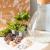 Kit terrarium DIY 3 plantes Mini coffea Fougere et Fittonia Vert