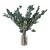 Botte de fleurs sechees : Eucalyptus cinerea stabilise