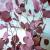 Botte de fleurs sechees : Eucalyptus populus rouge