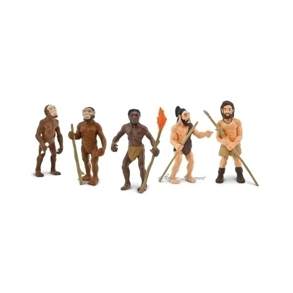 Safari - 5 figurines évolution de l'Homme
