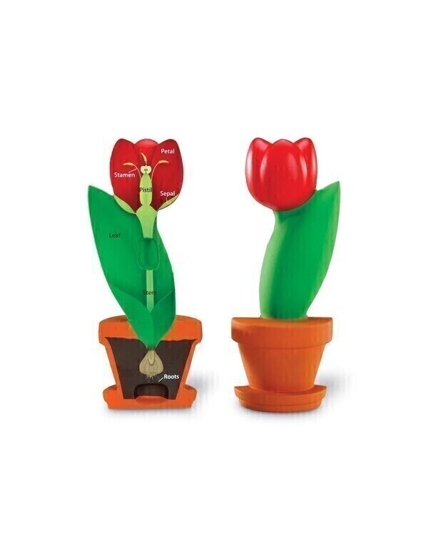 LER - La coupe de la fleur LER - La coupe de la fleur