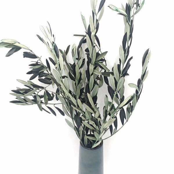 Réconciliation Végétale - Botte de fleurs séchées olivier de Provence stabilisé