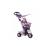 Tricycle  Dream 4-in-1 Violet
