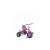 Tricycle  Fisher-Price Glee Plus 2-in-1