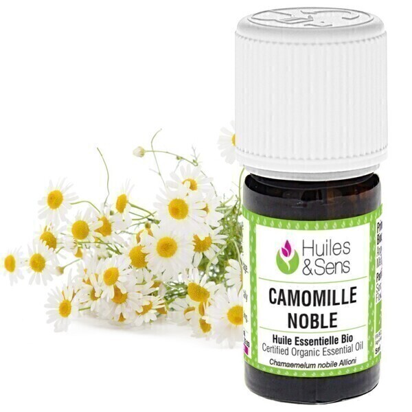 Huiles & Sens - huile essentielle camomille noble (bio) Huiles & Sens - huile essentielle camomille noble (bio)