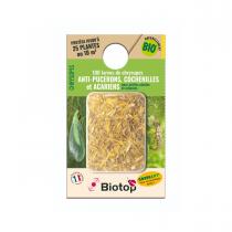 Biotop - Chrysope 100 larves, anti pucerons plantes basses (préventif)