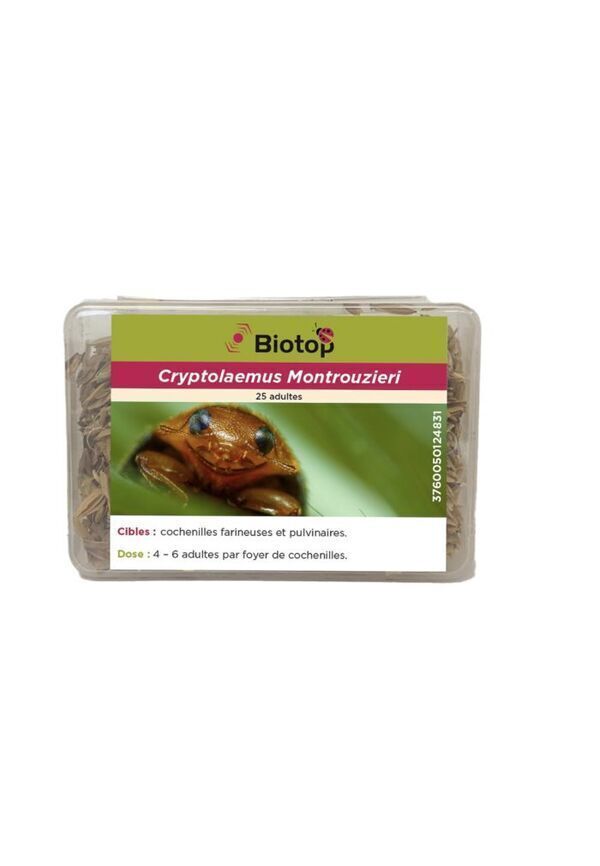 Biotop - 25 coccinelles anti cochenilles