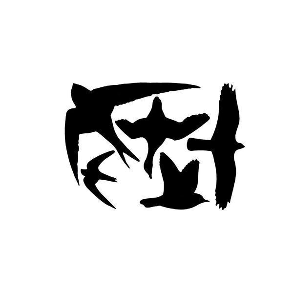 eeschert design - 5 silhouettes d'oiseaux autocollantes anti-collision