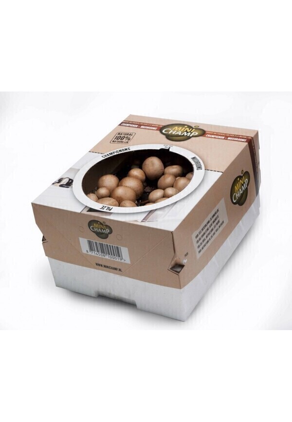 mini champ - Kit culture champignons bruns Minichamp 7.5 litres