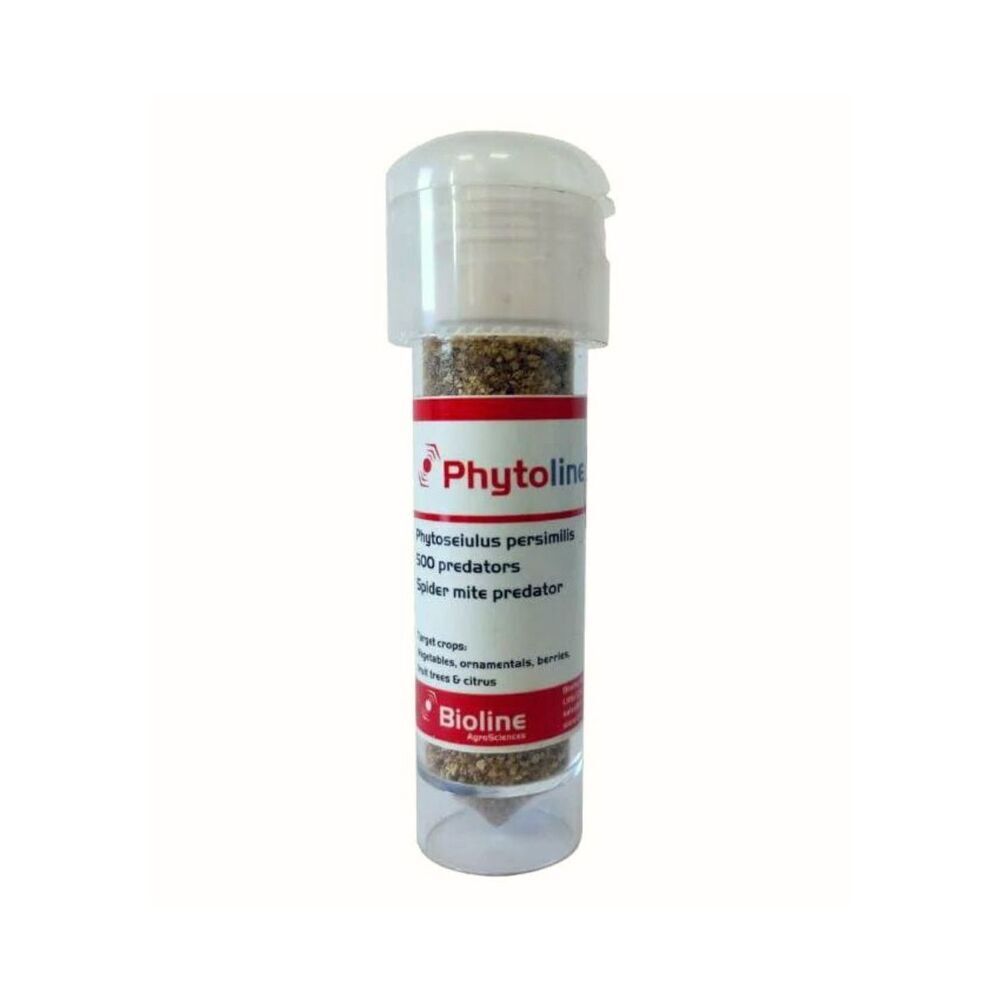 Biotop - 500 acariens Phytoseiulus