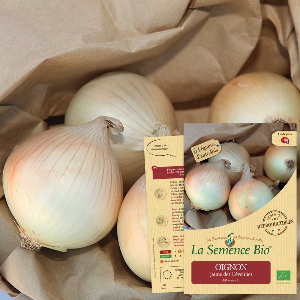 La Semence Bio - OIGNON jaune des Cévennes Bio La Semence Bio - OIGNON jaune des Cévennes Bio