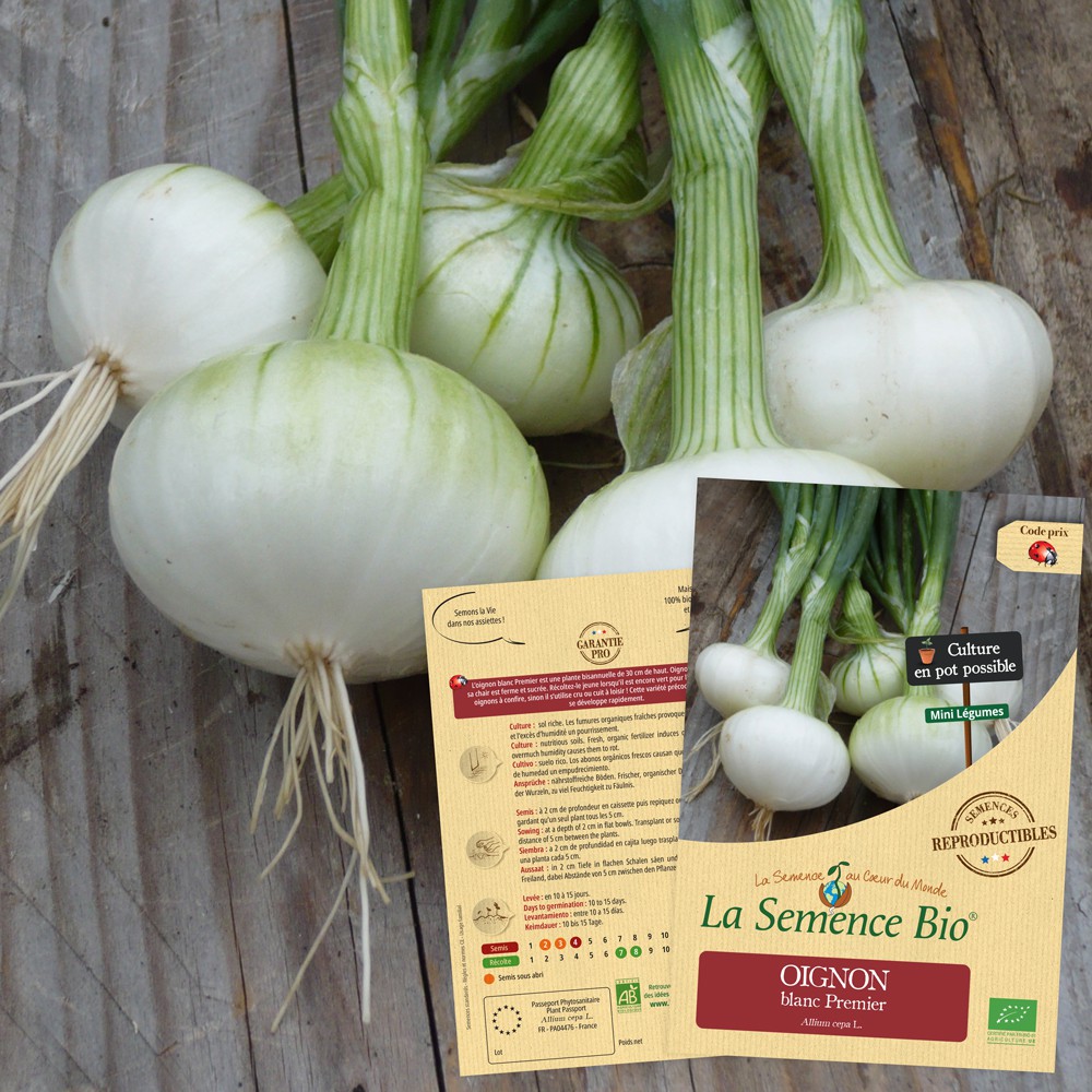 La Semence Bio - OIGNON blanc Premier Bio La Semence Bio - OIGNON blanc Premier Bio