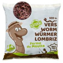 Ferme du Moutta - 250gr de Vers de compost / Lombric