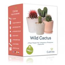 Cultivea - Kit de semis graine de cactus