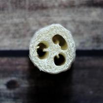 Ecogift - Eponge en Luffa de 10 cm