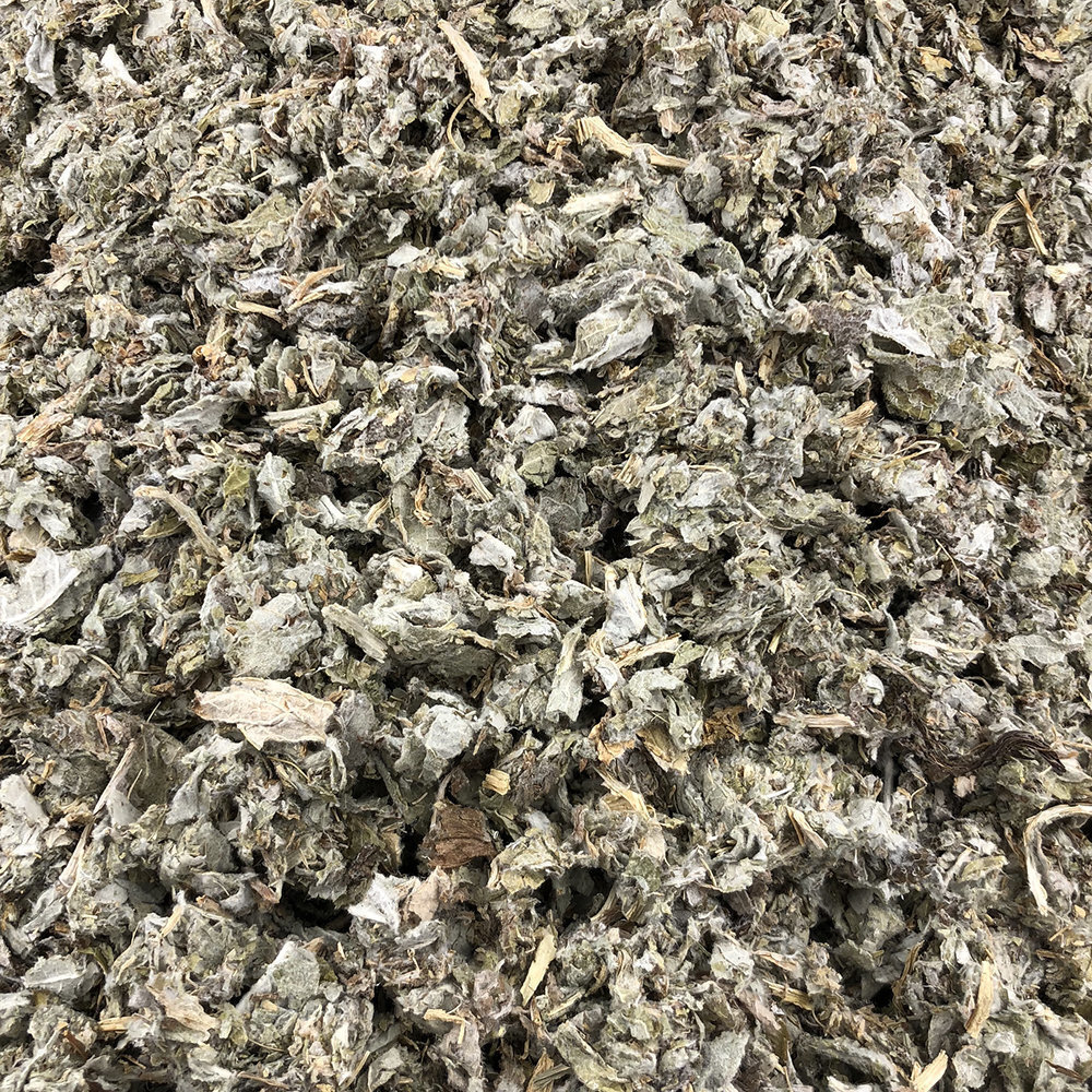 Vracbio - Artichaut Feuilles Bio en Vrac 0,25 Kg Vracbio - Artichaut Feuilles Bio en Vrac 0,25 Kg