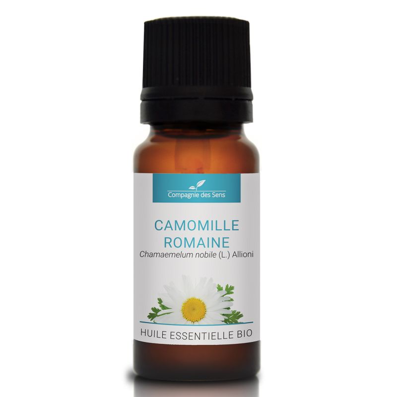 Camomille Romaine Huile Essentielle Bio 10ml Compagnie Des Sens