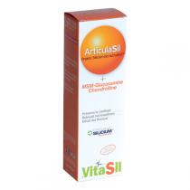 Vitasil - Gel Articulasil MSN Glucosamine Chondroïtine 225mL