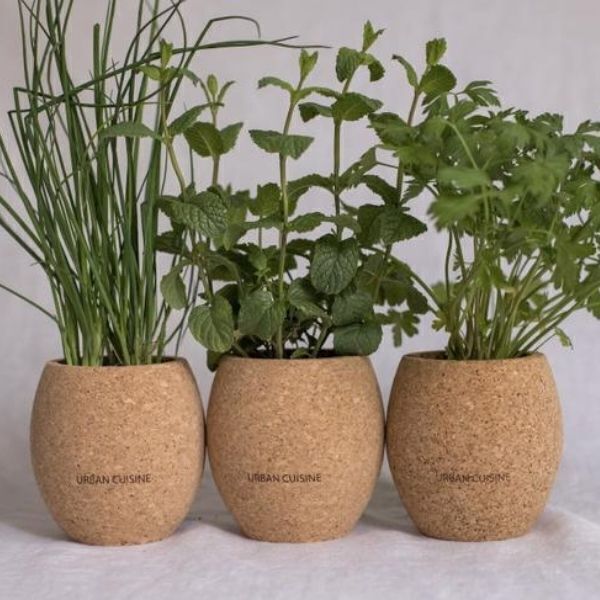 Urban Cuisine - Kit plantes aromatiques Bio en Pot (à composer)