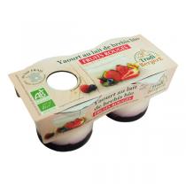 TRADI BERGERE - Yaourt brebis fruits rouges 2x100g