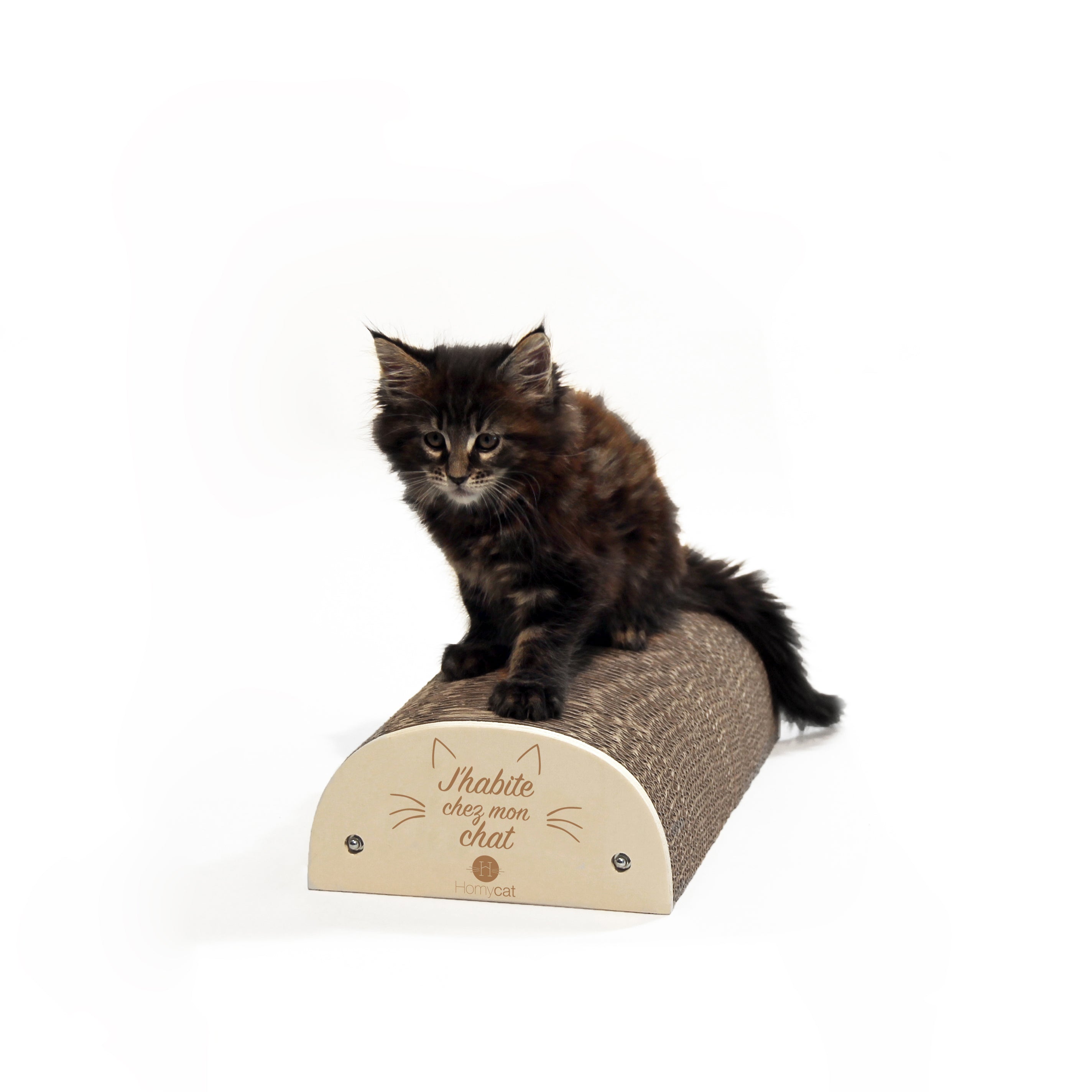Homycat - Griffoir rechargeable "J'habite chez mon chat" Homycat - Griffoir rechargeable "J'habite chez mon chat"