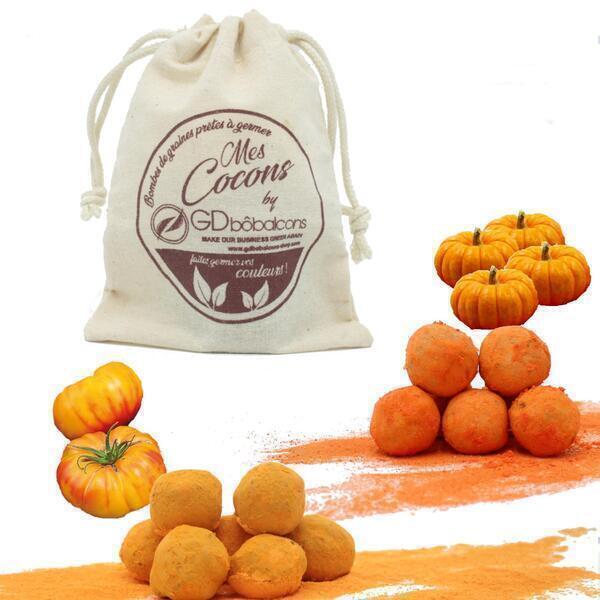 GD Bô Balcons - Pack Orange / 10 Bombes À Graines + Sac GD Bô Balcons - Pack Orange / 10 Bombes À Graines + Sac