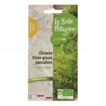 La Belle Potagère - Graines à semer - Salade frisée grosse pancalière - 0,5 g