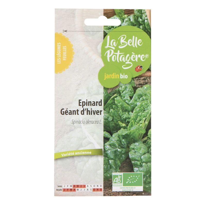 La Belle Potagère - Graines à semer - Epinard géant d'hiver - 5 g La Belle Potagère - Graines à semer - Epinard géant d'hiver - 5 g