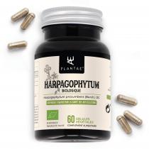 Anastore - Harpagophytum * 400mg / 60 gélules * Titré à 2.7% en harpagoside