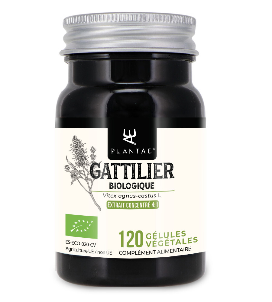 Anastore - Gattilier Bio * 24 mg / 120 gélules * Extrait concentré 4:1