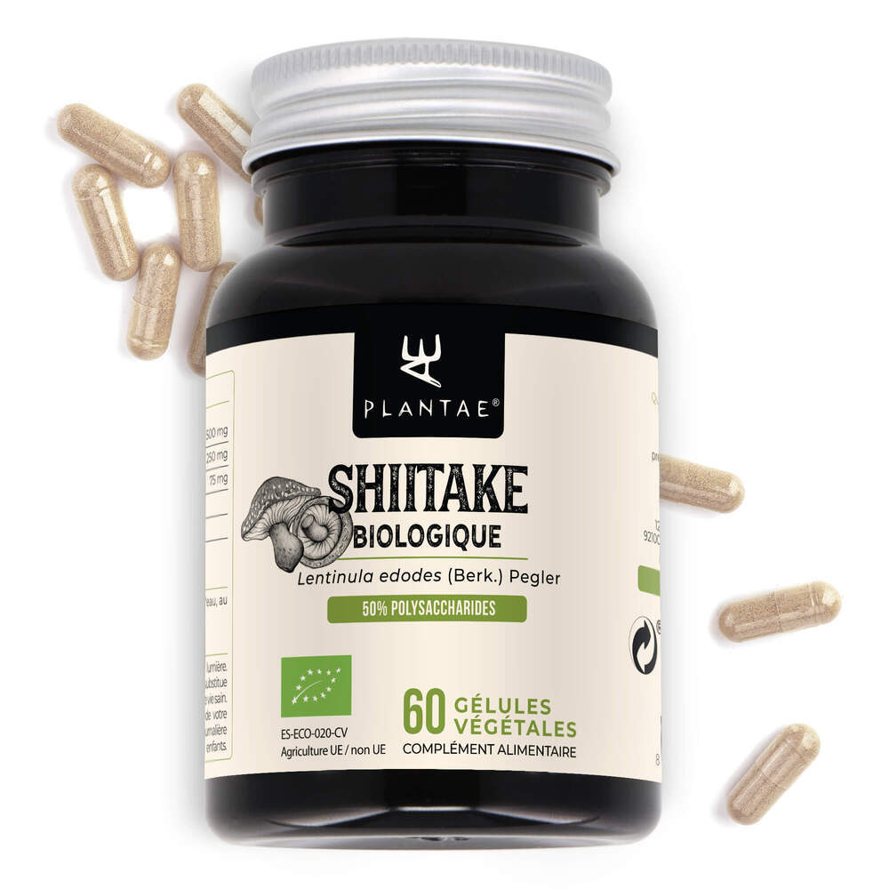 Anastore - Shiitake * 250 mg / 60 gélules * Extrait biologique titré