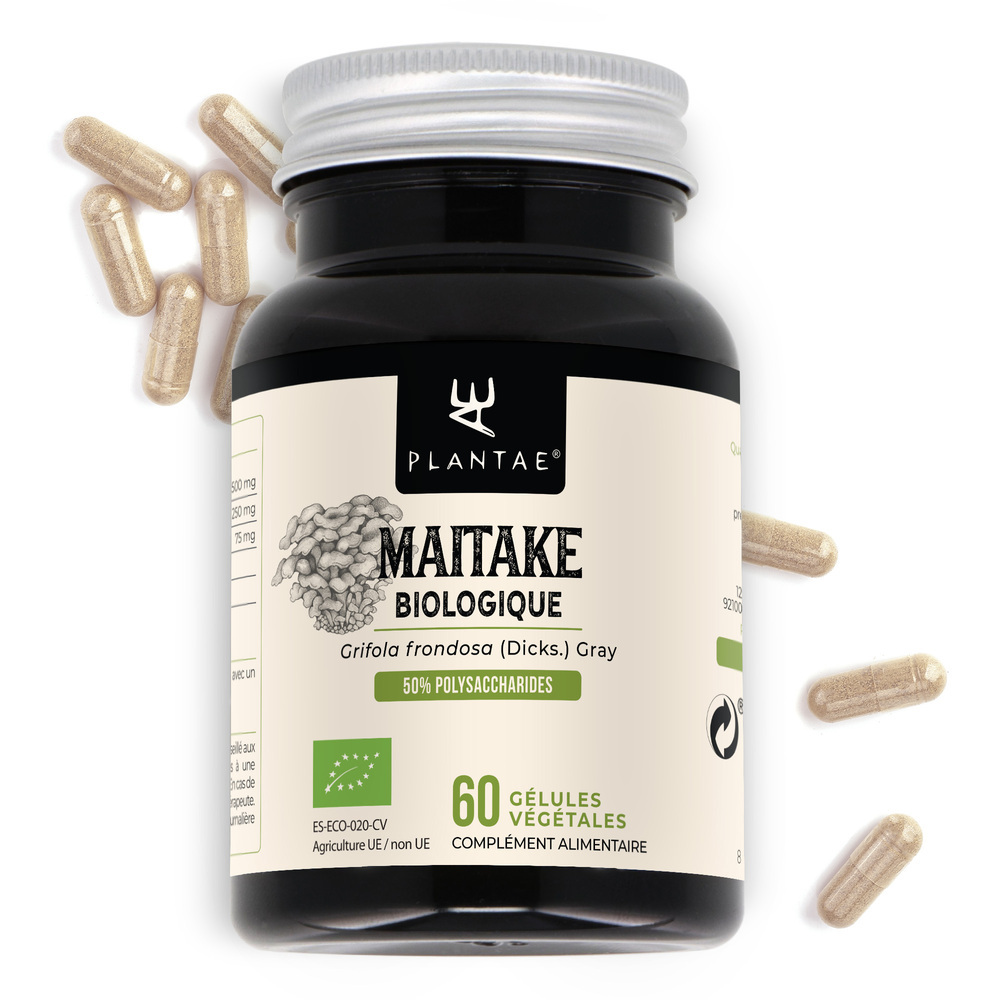 Anastore - Maitake Bio * 60 gélules * titré à 30% en polysaccharides