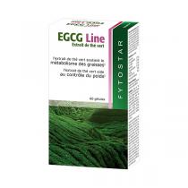 Fytostar - EGCG Line 60 gélules